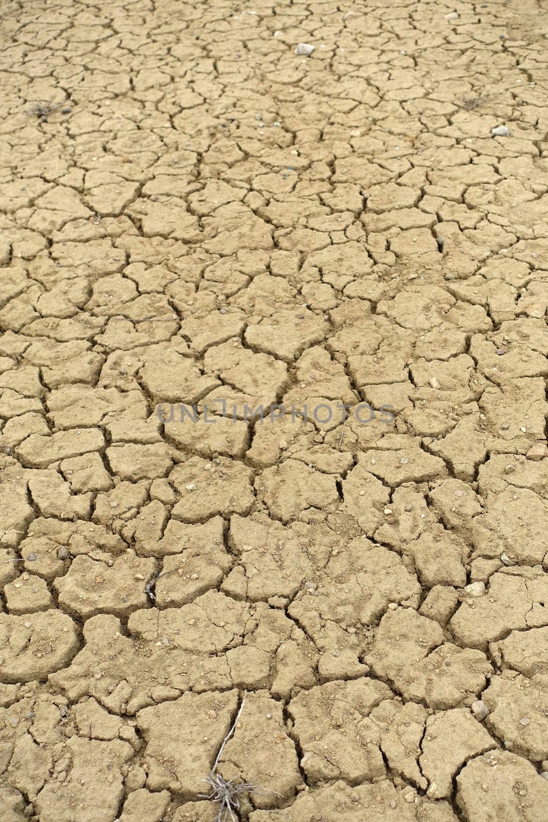 rapidly drying world-cracked and fissured soils-drought as a result of global warming, by nhatipoglu