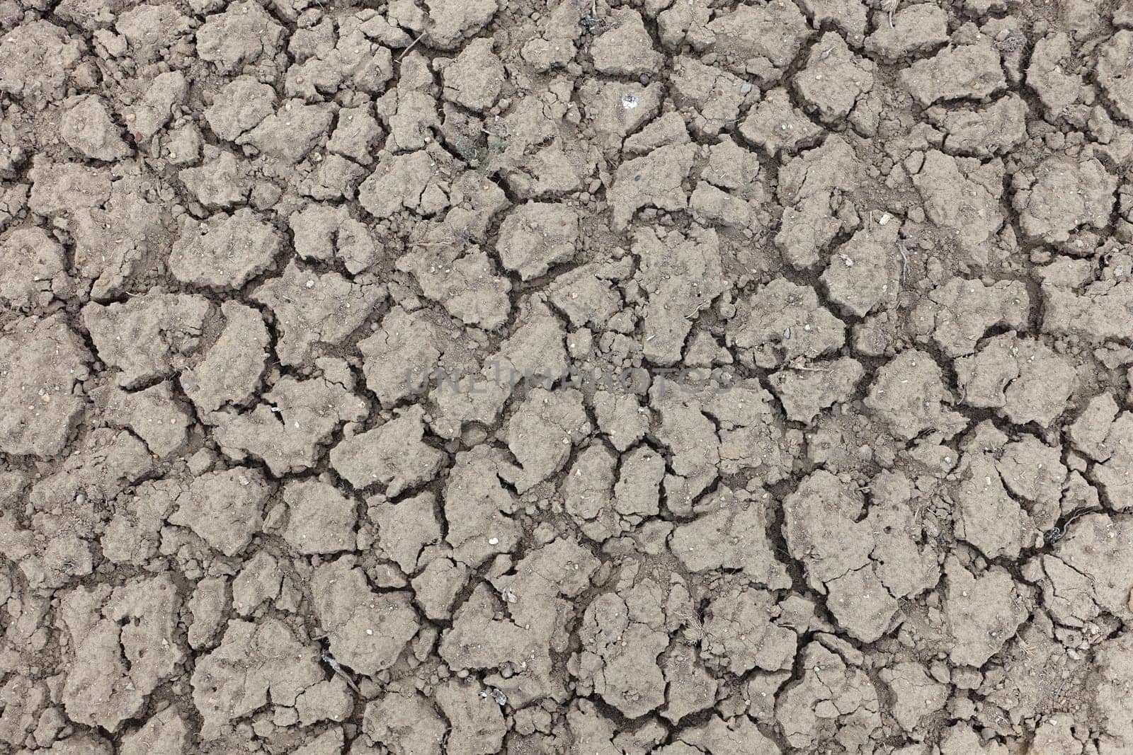 rapidly drying world-cracked and fissured soils-drought as a result of global warming, by nhatipoglu