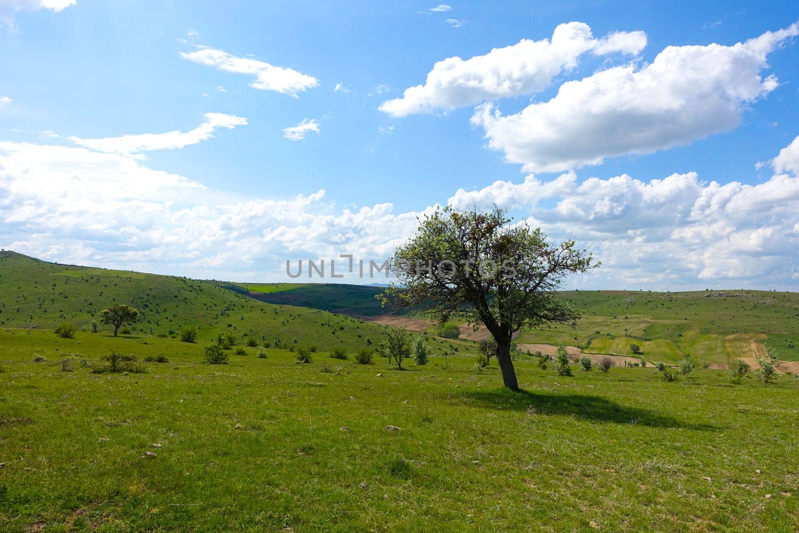 black and white tree, cloud, plateau and hill landscape photos, black and white landscape photos by nhatipoglu