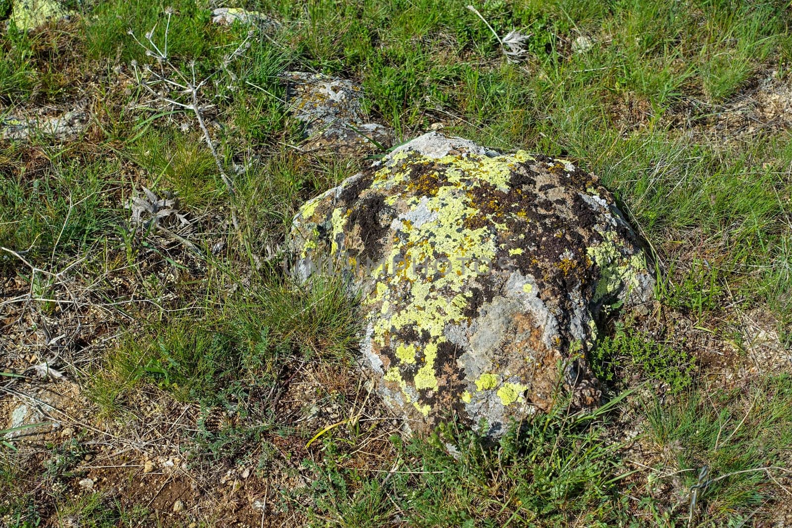 moss-covered rocks, old rocks mossed over,