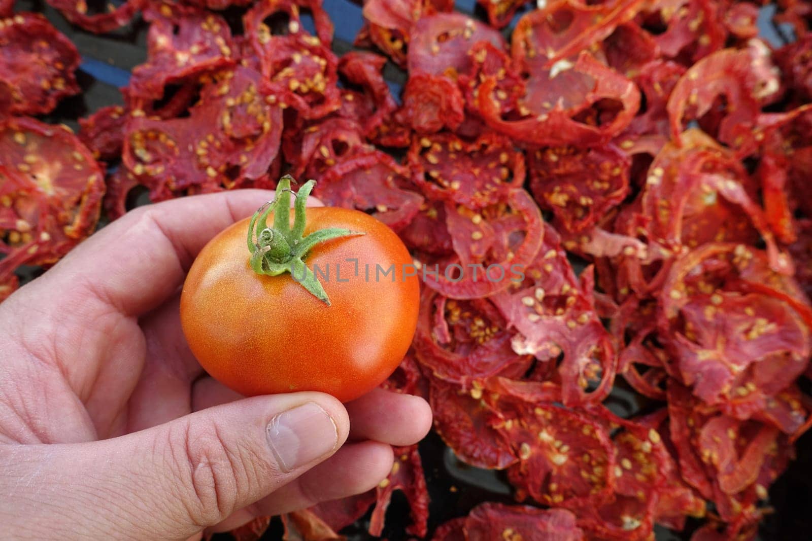 dried tomatoes,dried tomatoes,close-up dried tomatoes, by nhatipoglu