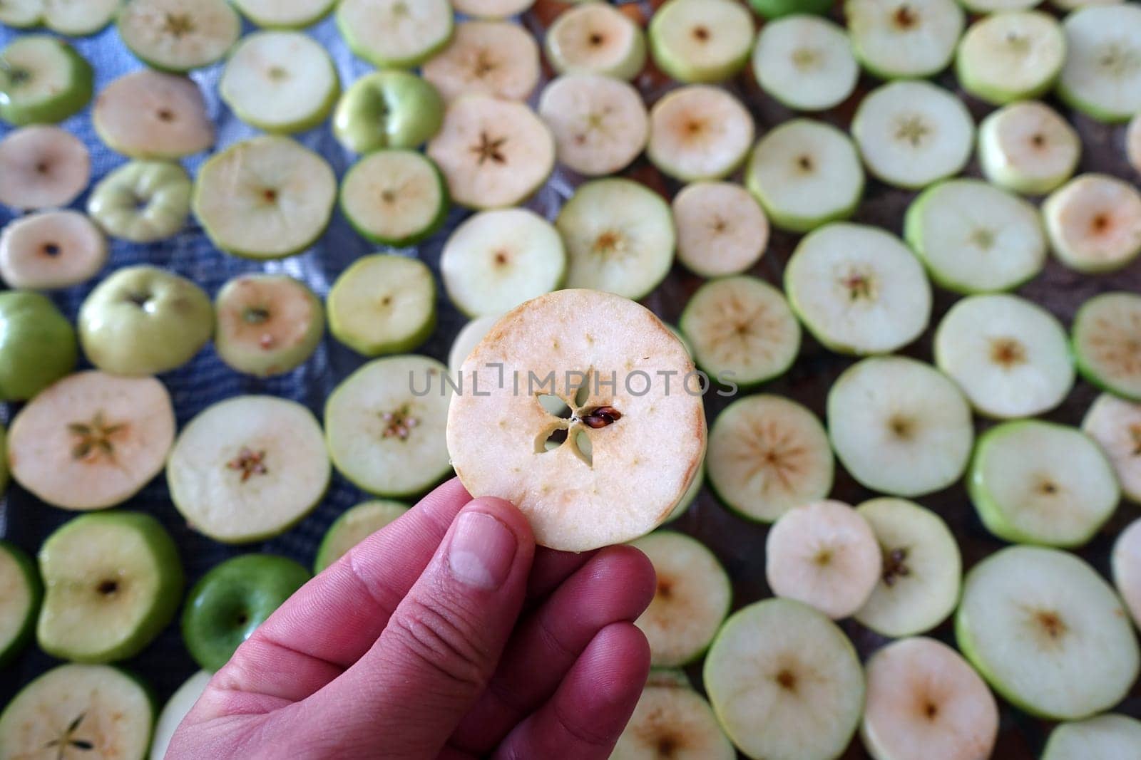 drying homemade apples, drying apples, sliced apple slices left to dry,