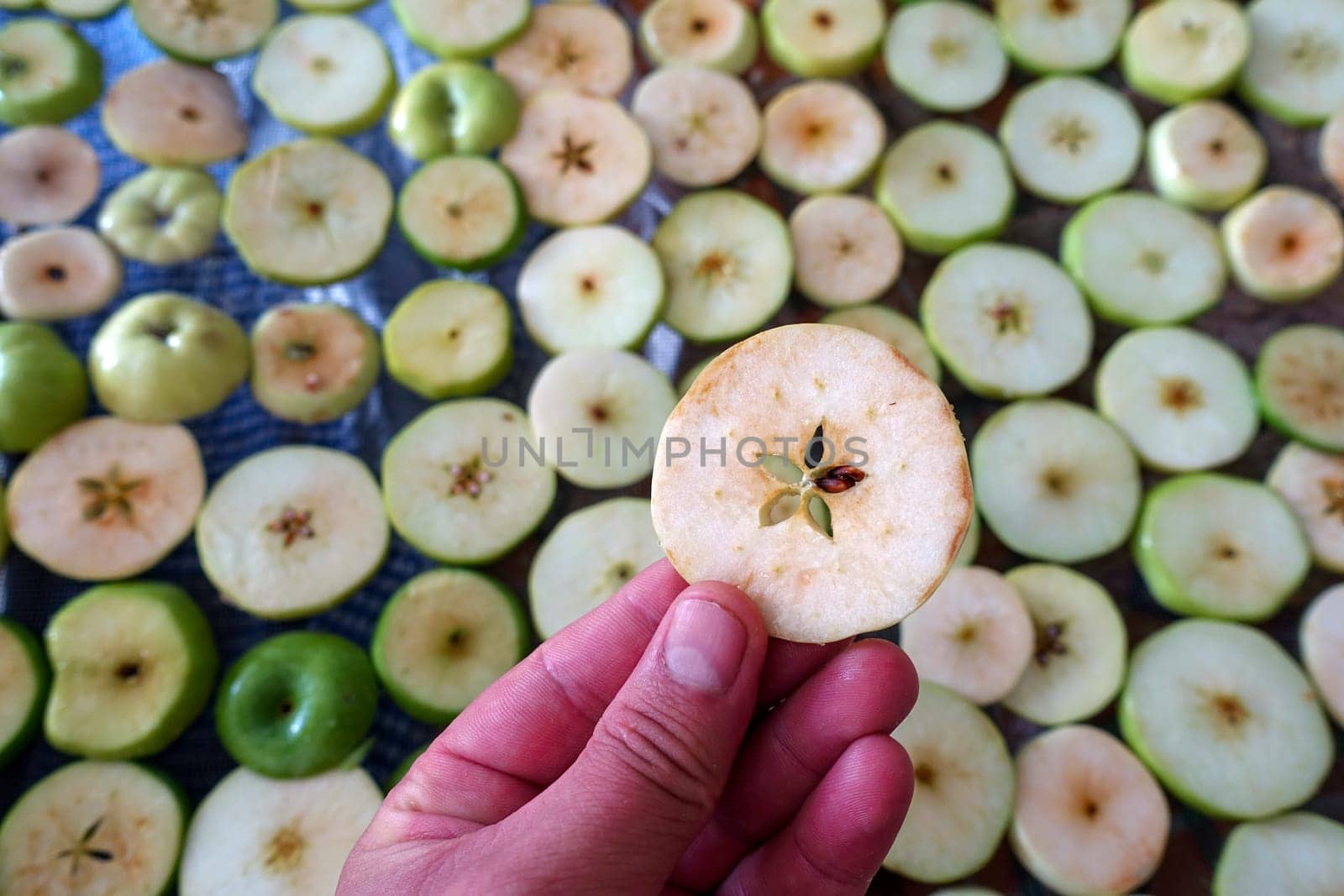 drying homemade apples, drying apples, sliced apple slices left to dry,
