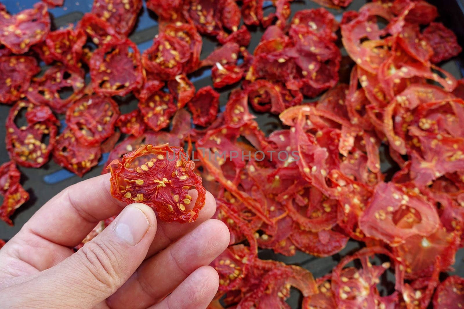 dried tomatoes, drying tomatoes in the natural sun, food dried,