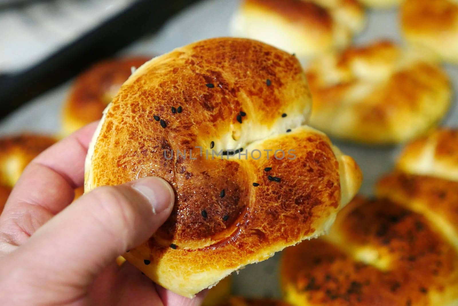 turkish style cheese pie, water pastry tray, serving börek, turkish style börek close-up, by nhatipoglu