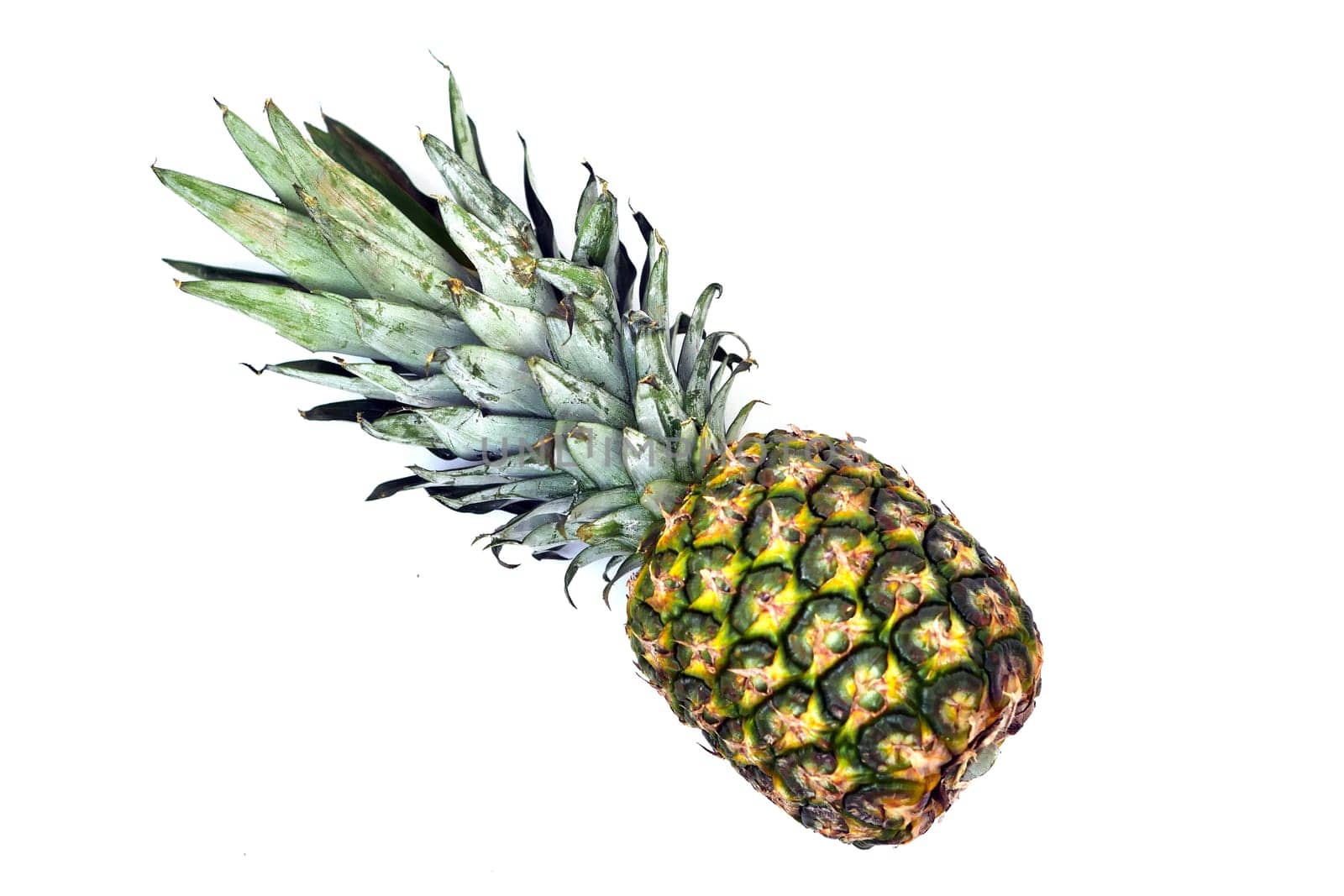 close-up pineapple standing on white background,whole pineapple fruit with leaves,