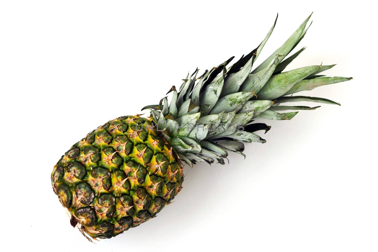 close-up pineapple standing on white background,whole pineapple fruit with leaves,