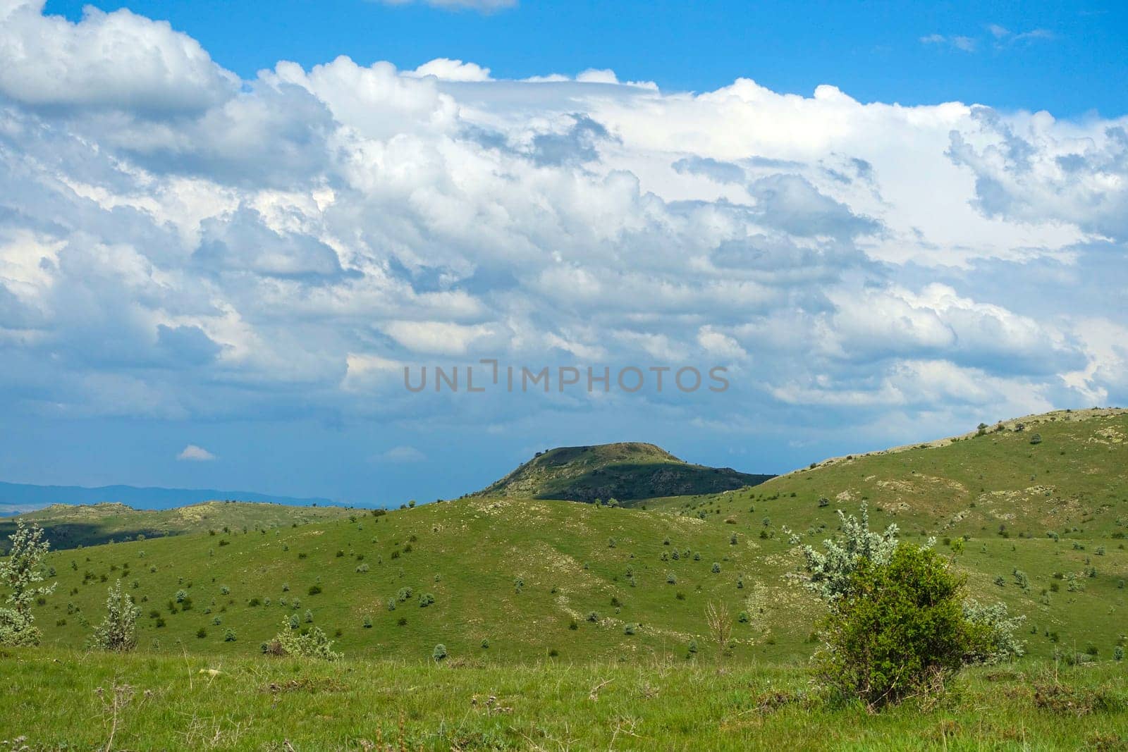 black and white tree, cloud, plateau and hill landscape photos, black and white landscape photos