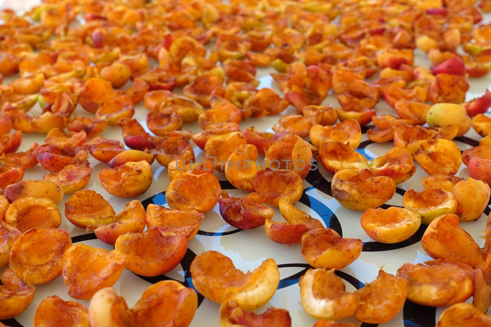 close-up apricot drying process, fruit drying process in summer, drying fruit in the sun,