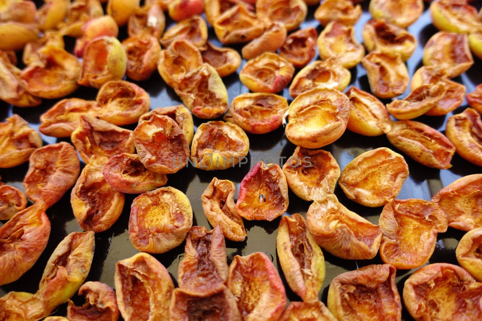 fresh apricots left to dry in the sun,