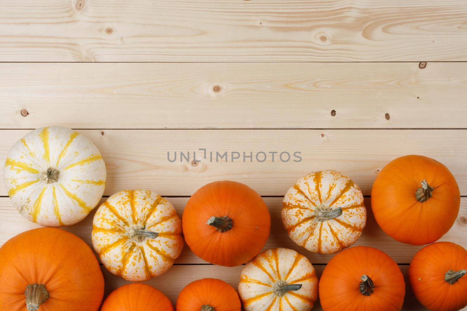 Many pumpkin top border over a rustic white wood background