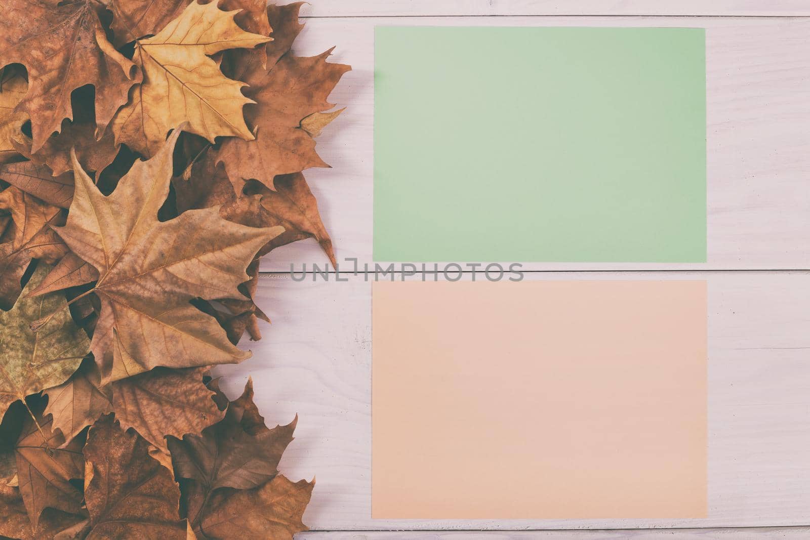 Empty colored papers  on wooden table with autumn leaves by Bazdar