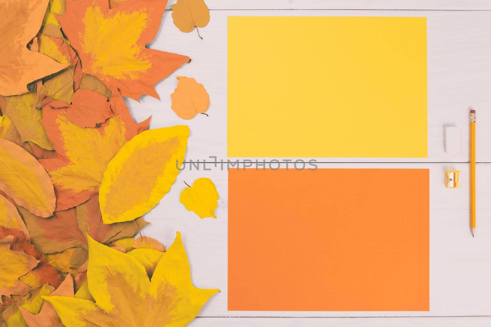 Empty colored papers and school supplies on wooden table with painted leaves.Toned image.