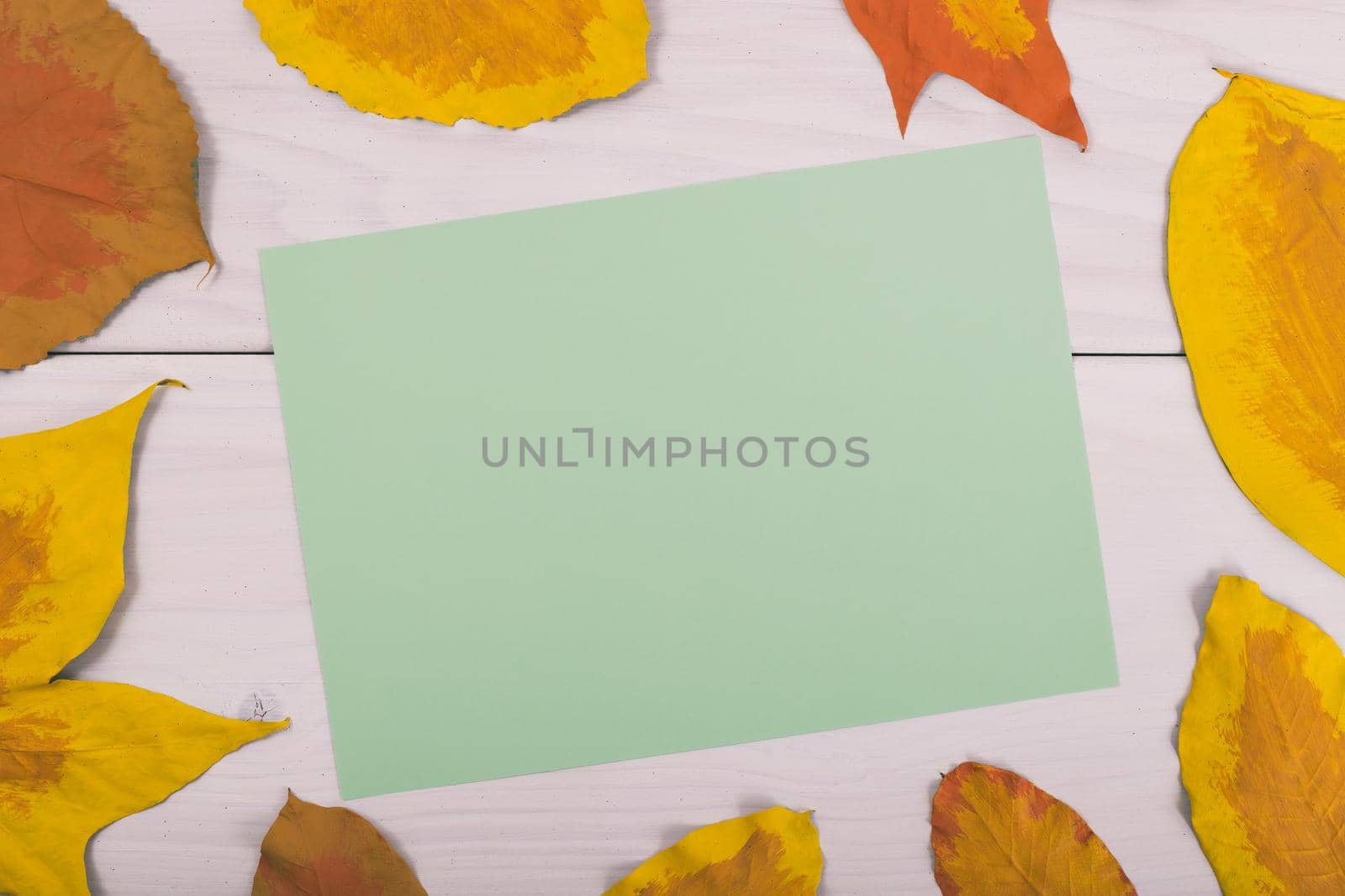 Empty green paper on wooden table surrounded with painted leaves.Toned image.