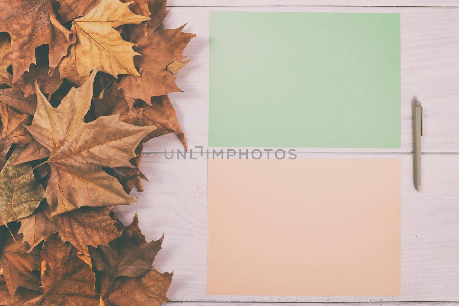 Empty colored papers and pen on wooden table with autumn leaves.Toned image.