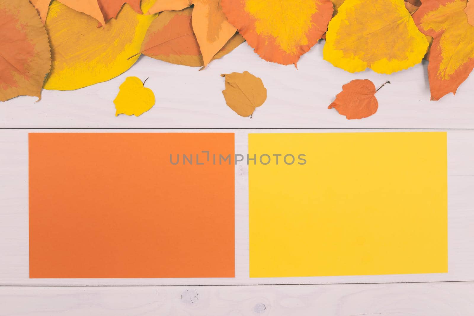 Empty colored papers  on wooden table with painted leaves. by Bazdar