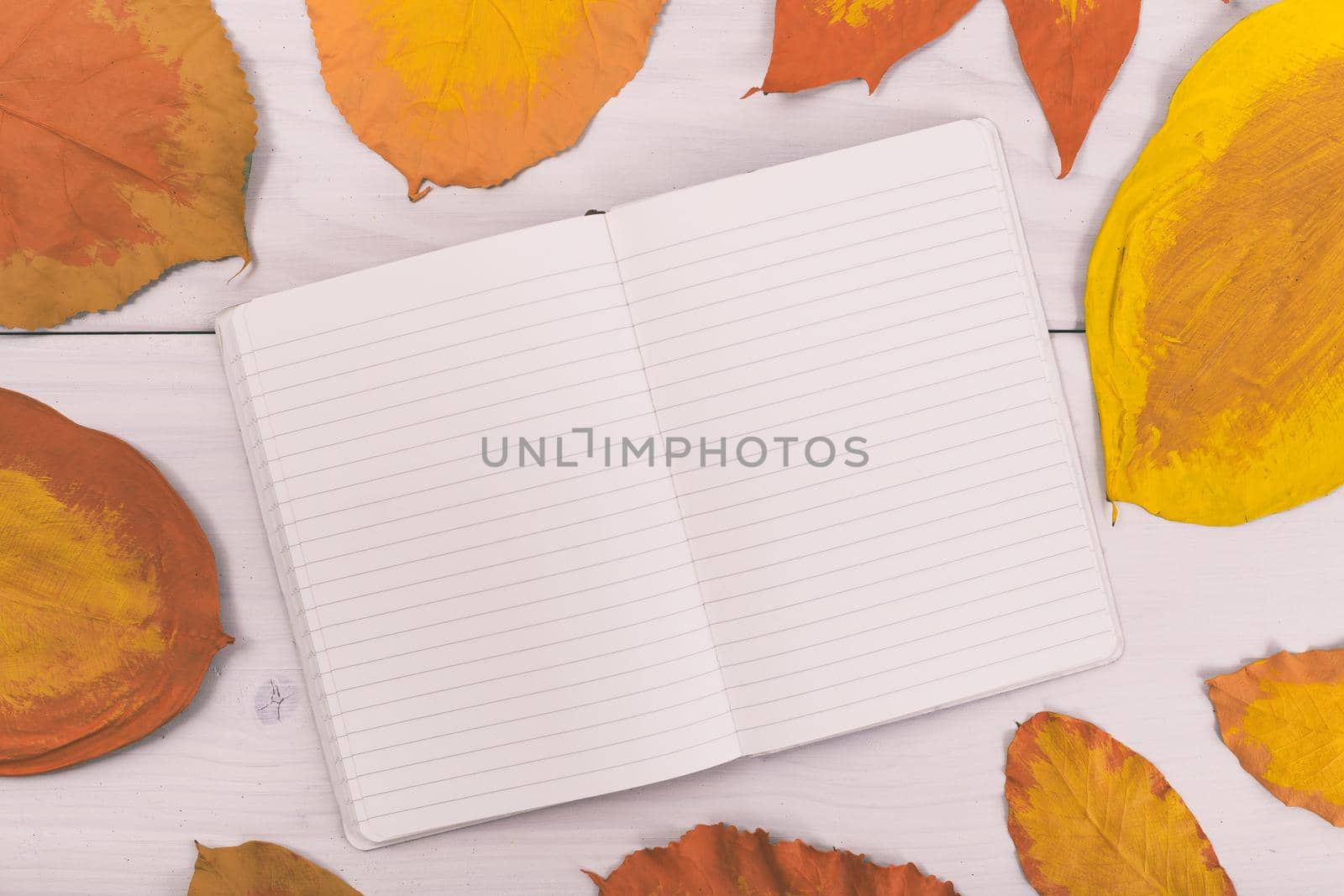 Empty notebook  on wooden table with painted leaves.Toned image.