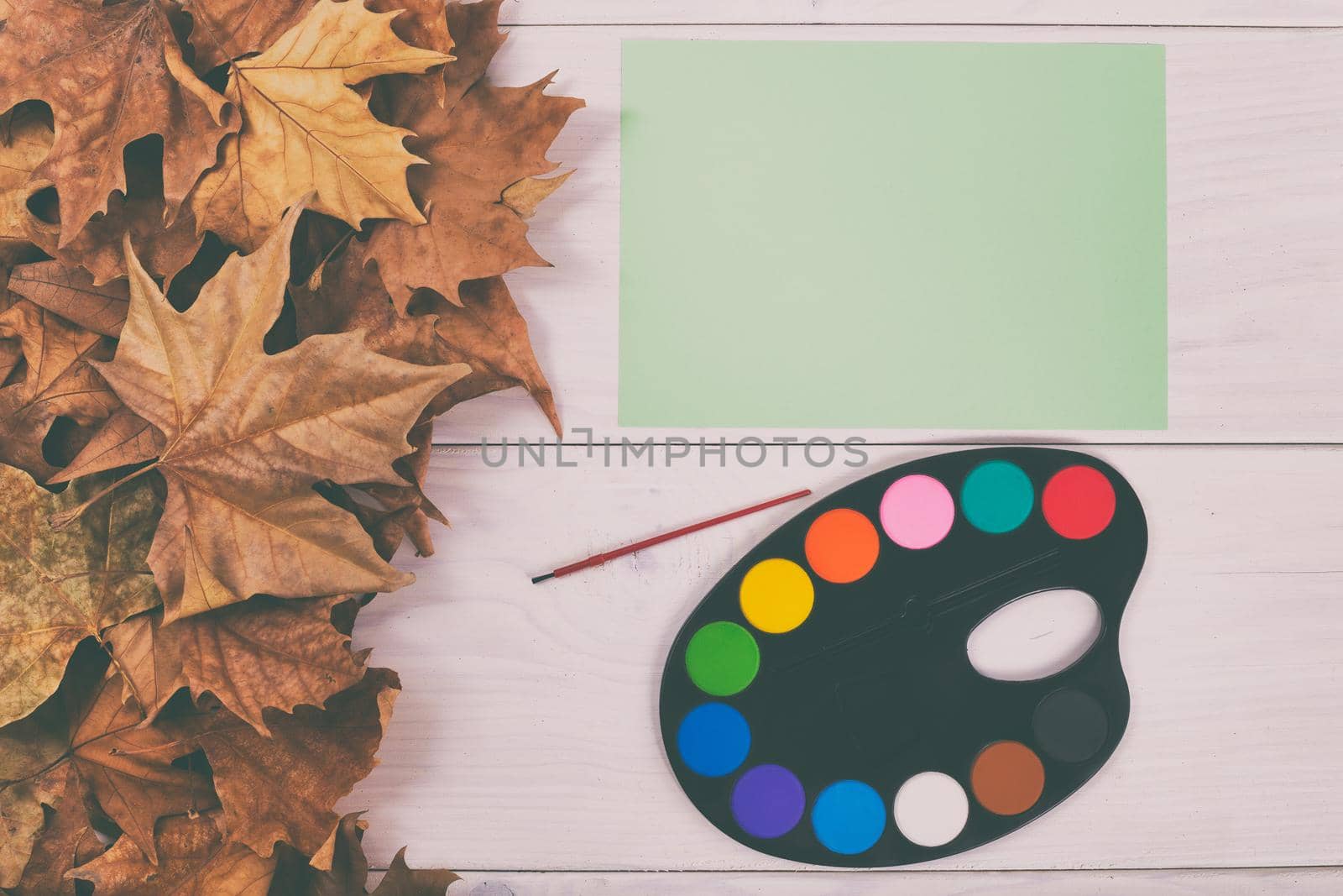 Image of watercolor paints on wooden table with autumn leaves.Image is intentionally toned.