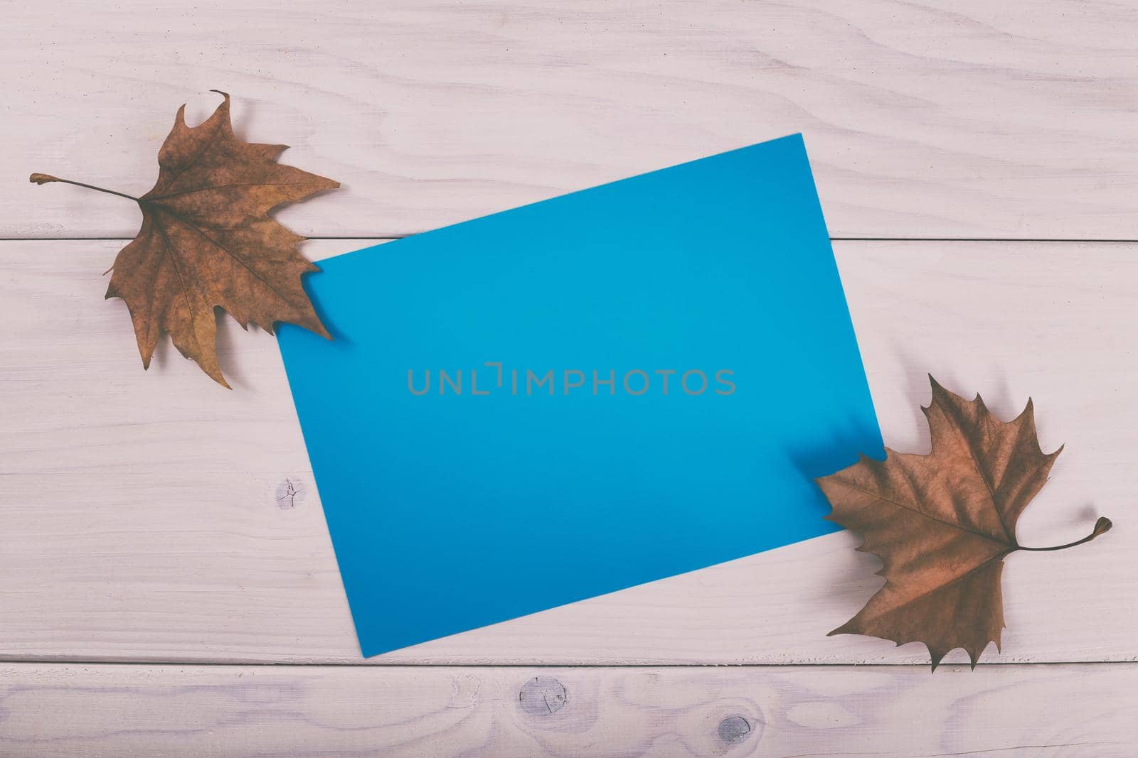 Empty blue paper on wooden table with autumn leaves.Image is intentionally toned