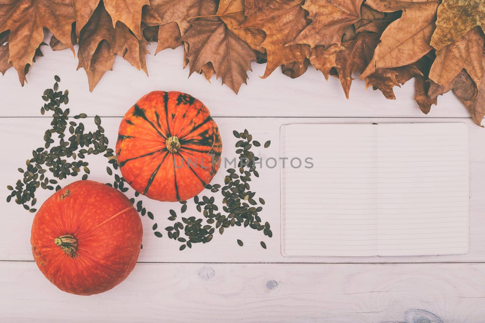 Pumpkins,pumpkin seed and empty notebook on wooden table with autumn leaves.Toned image.