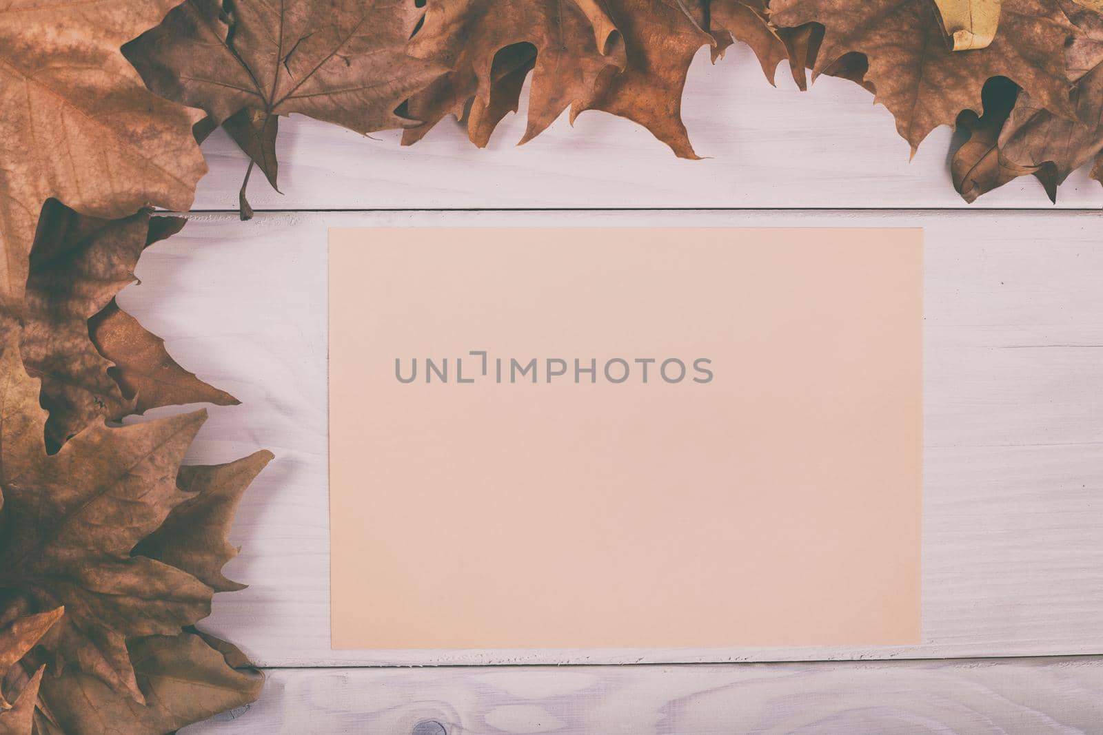 Empty pink paper on wooden table with autumn leaves.Image is intentionally toned.