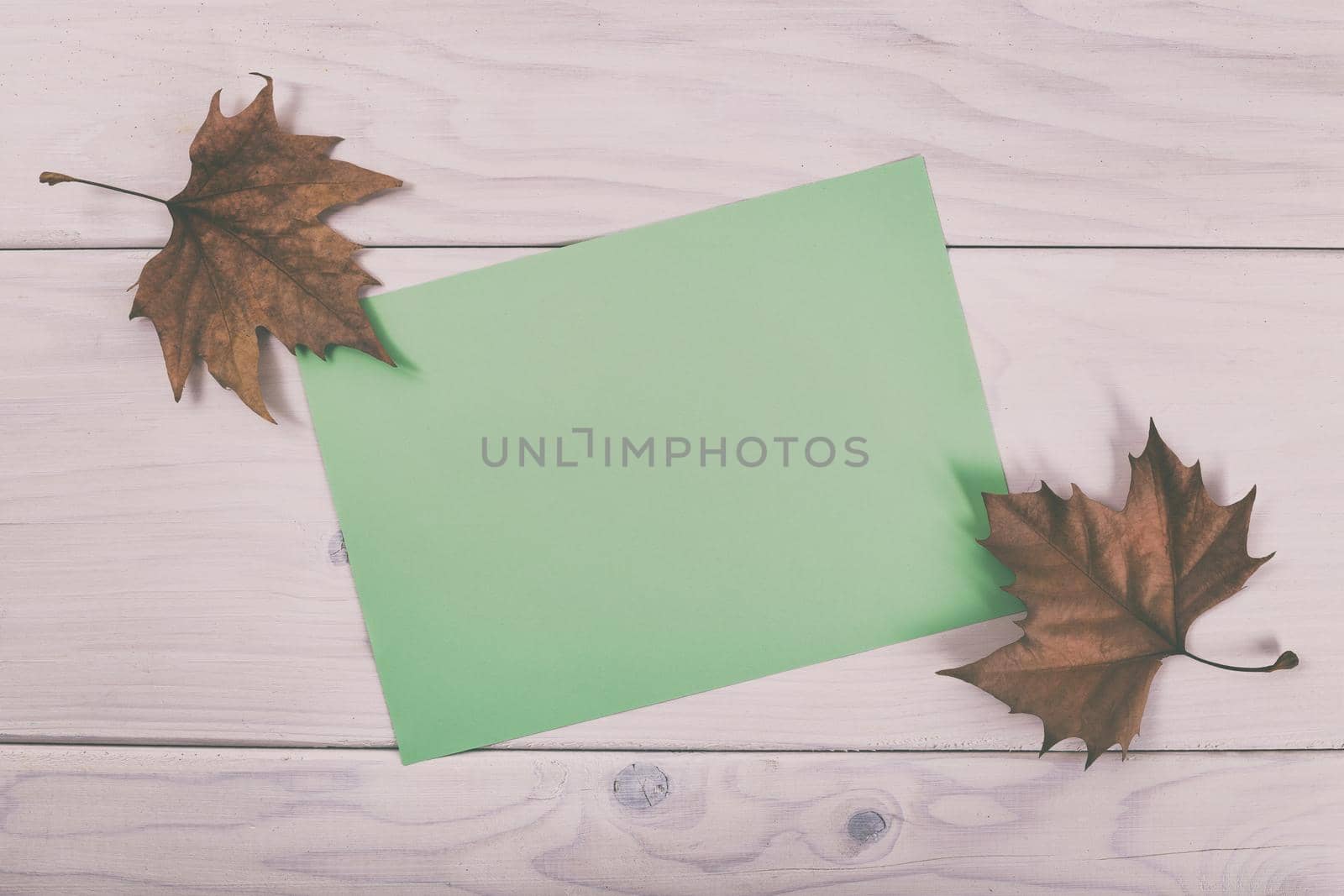 Empty green paper on wooden table with autumn leaves.Image is intentionally toned