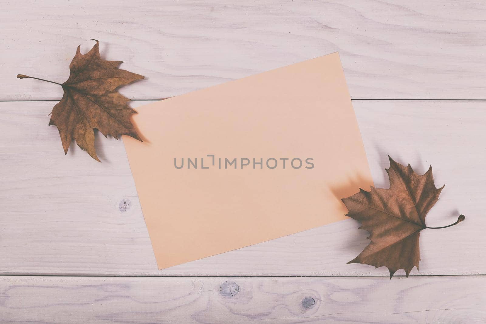 Empty pink paper on wooden table with autumn leaves.Image is intentionally toned