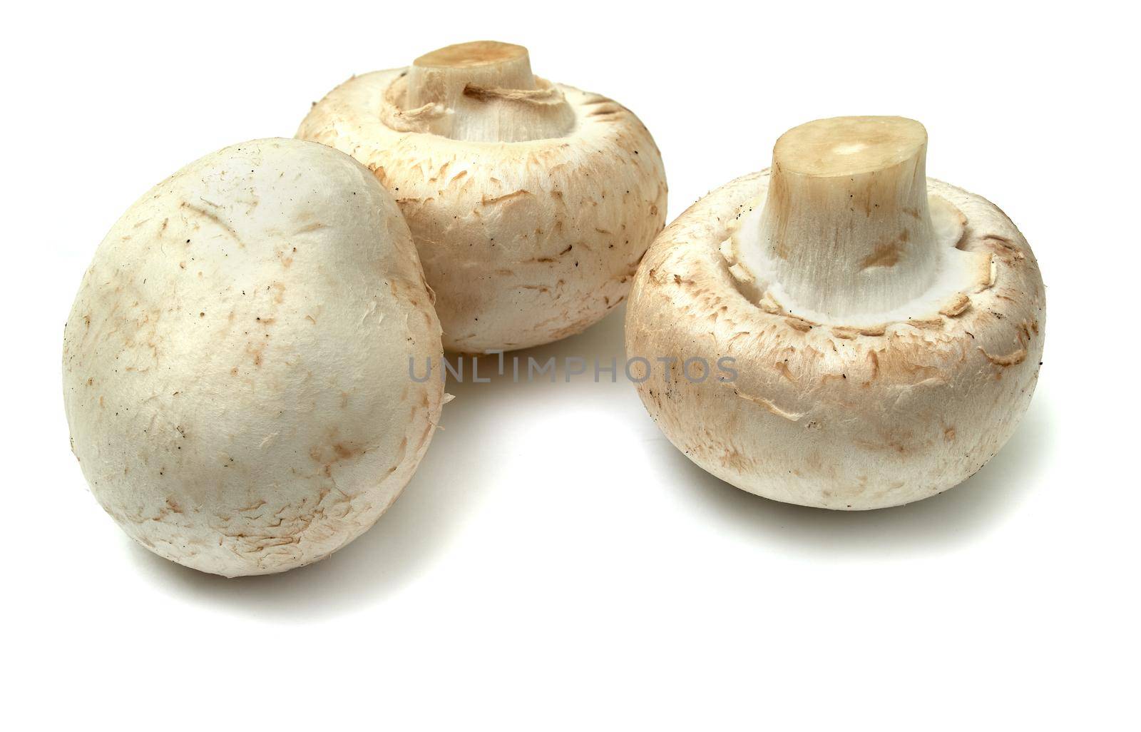 Champignon mushroom. Three beautiful mushroom isolated on white background.