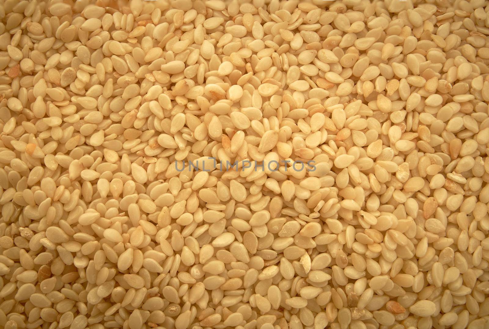 Organic background texture sesame seeds