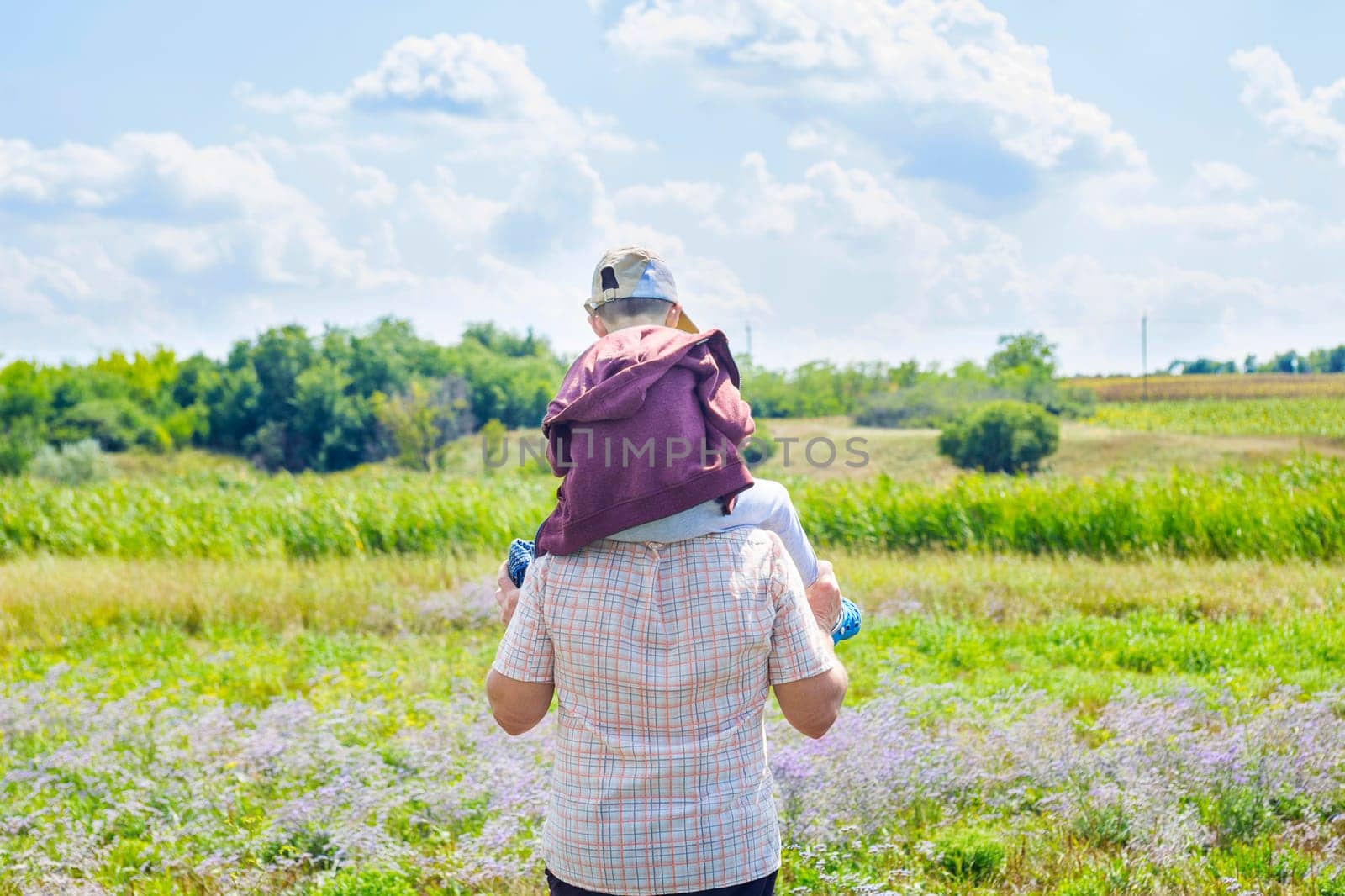 Happy kid sits on the father shoulders and they walk on the field. People resting together on the nature. Relationship concept.