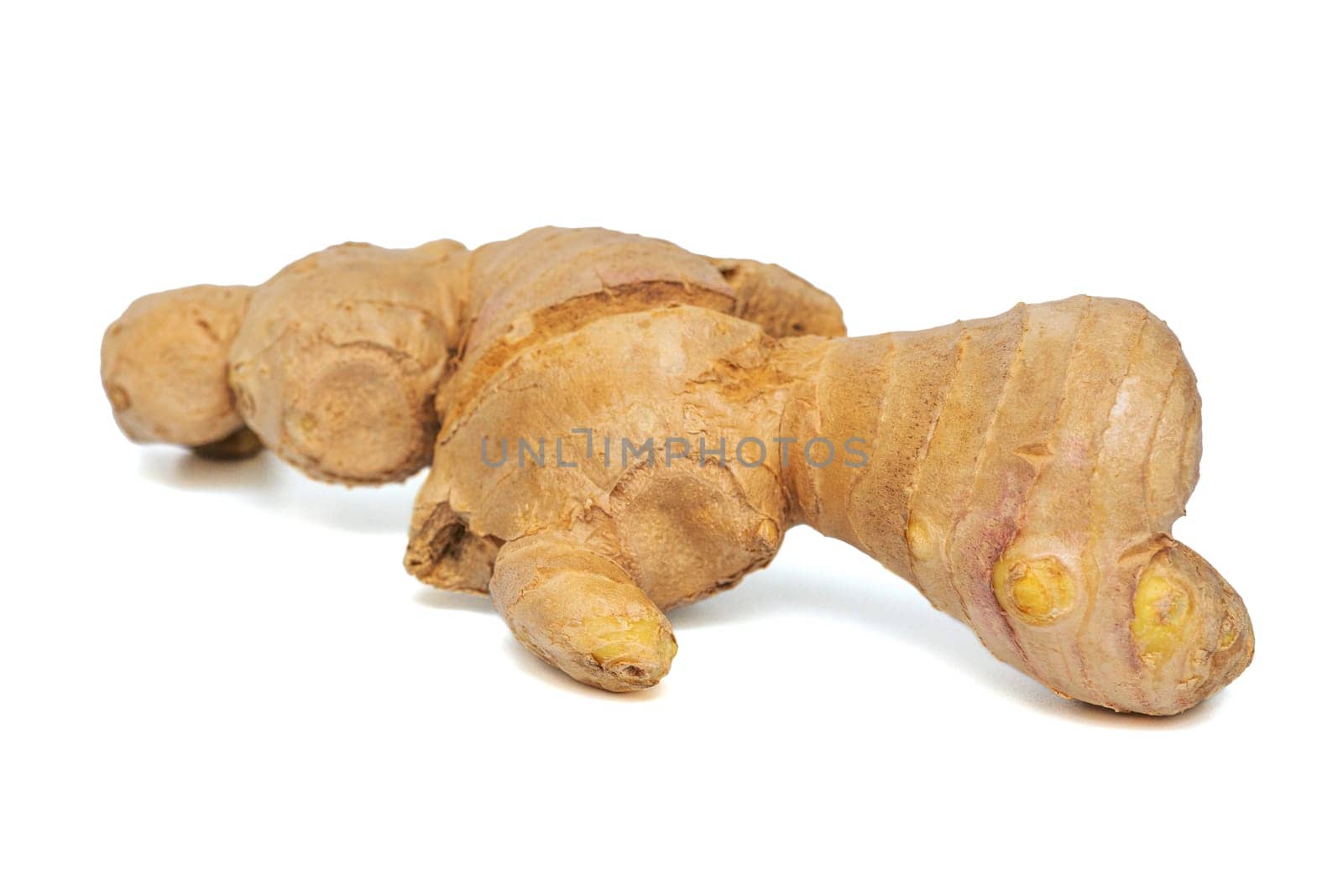 Ginger isolated on white background. Fresh ginger on white background, herb medical concept.