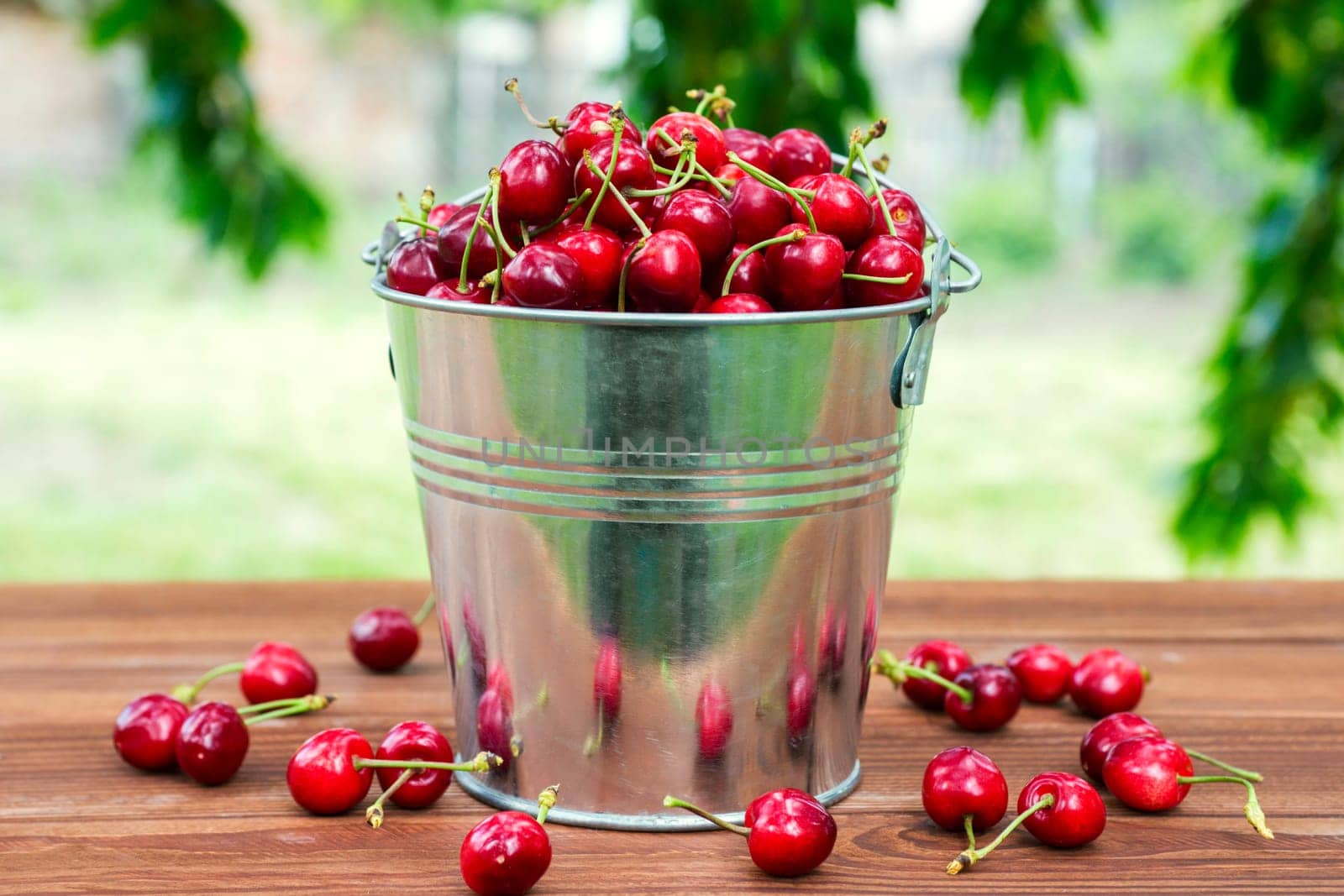 Fresh red ripe cherry in a bucket on the wooden background. Ripe red cherries in the metal bucket on a wooden background.