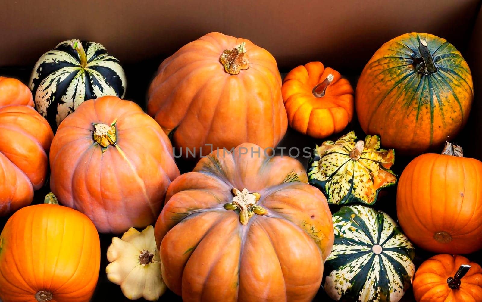 Pumpkins in box - a box with a variety of pumpkins