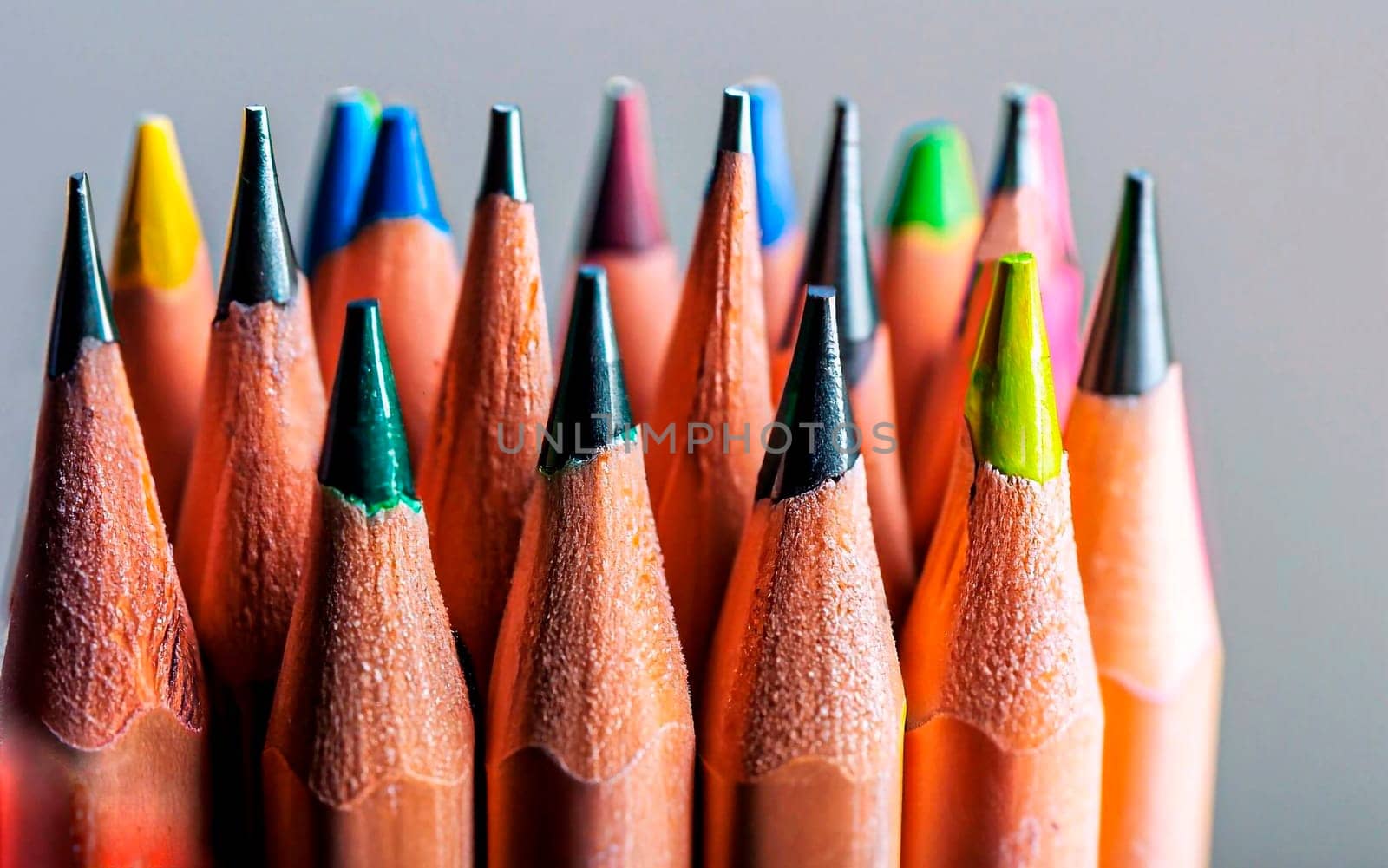 Close up of bunch of identical sharp black graphite pencils and one different, unique red pencil that stands out. Shallow depth of field. Studio shot. Concept of diversity. Concept of uniqueness.