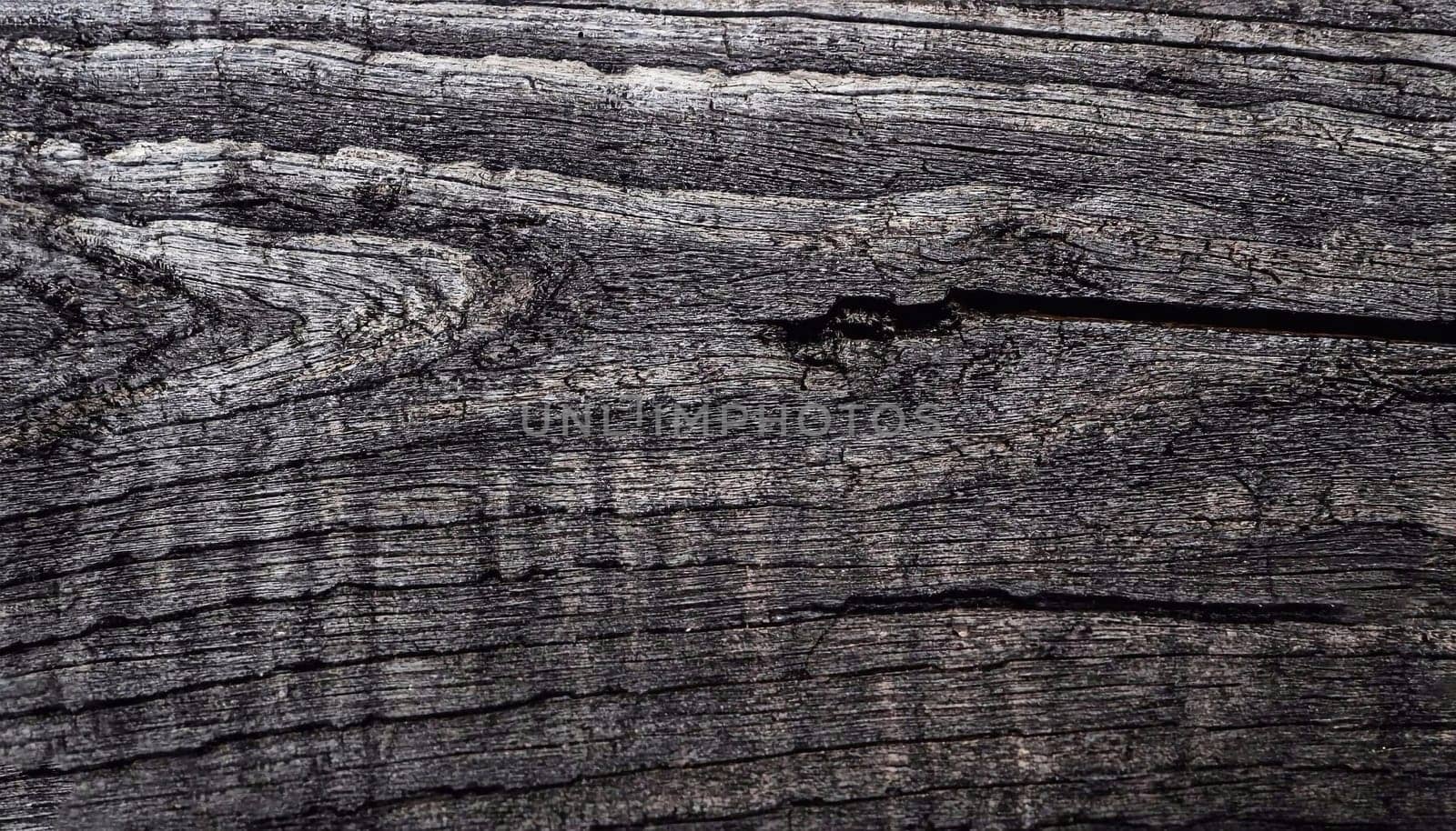 Wood Dark background texture. Blank for design