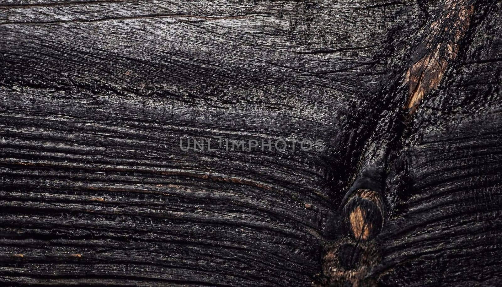 Wood texture. Macro photo. Black texture background. Top view.