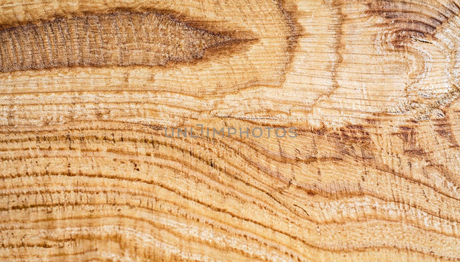 wood texture with empty space. wooden background