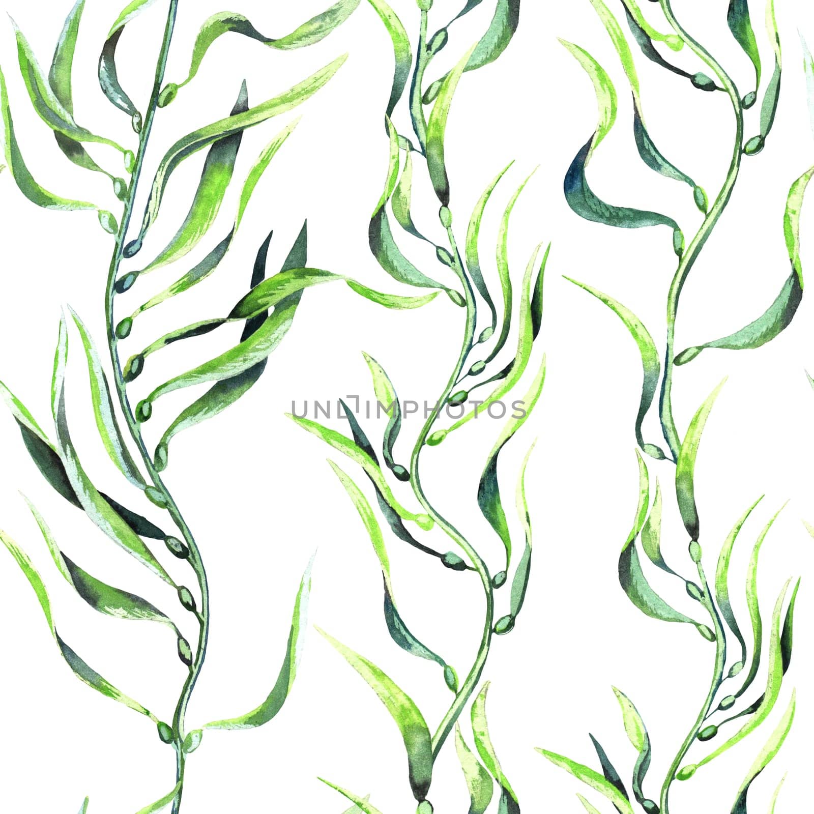 Seaweed kelp seamless pattern. Hand drawn watercolor plants botanical texture. by fireFLYart