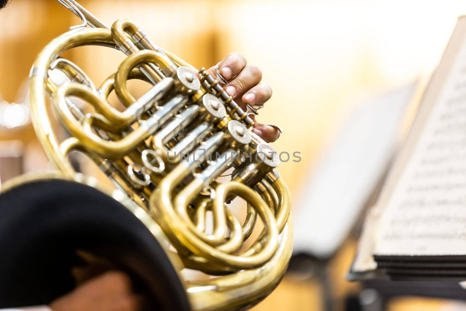 French horn instrument, hands playing horn player in philharmonic orchestra by Kadula