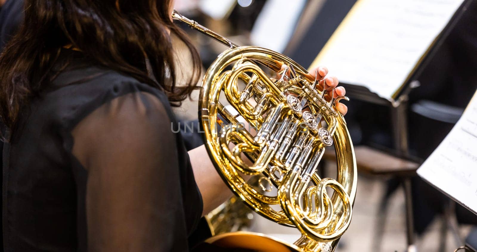 Philharmonic orchestra, musician playing on the french horn during the concert, cultural event by Kadula
