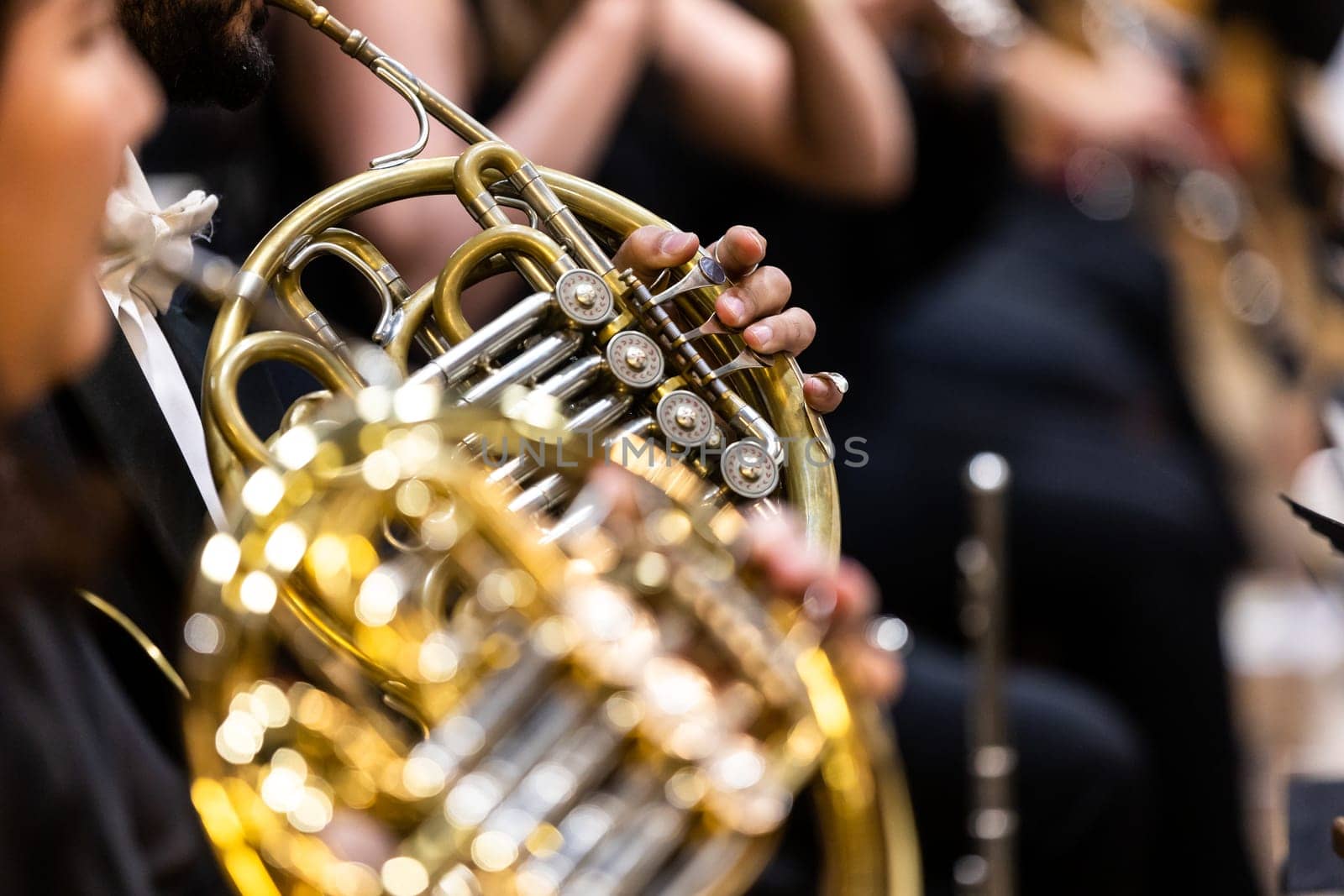 Philharmonic orchestra, musician playing on the french horn during a concert, cultural event