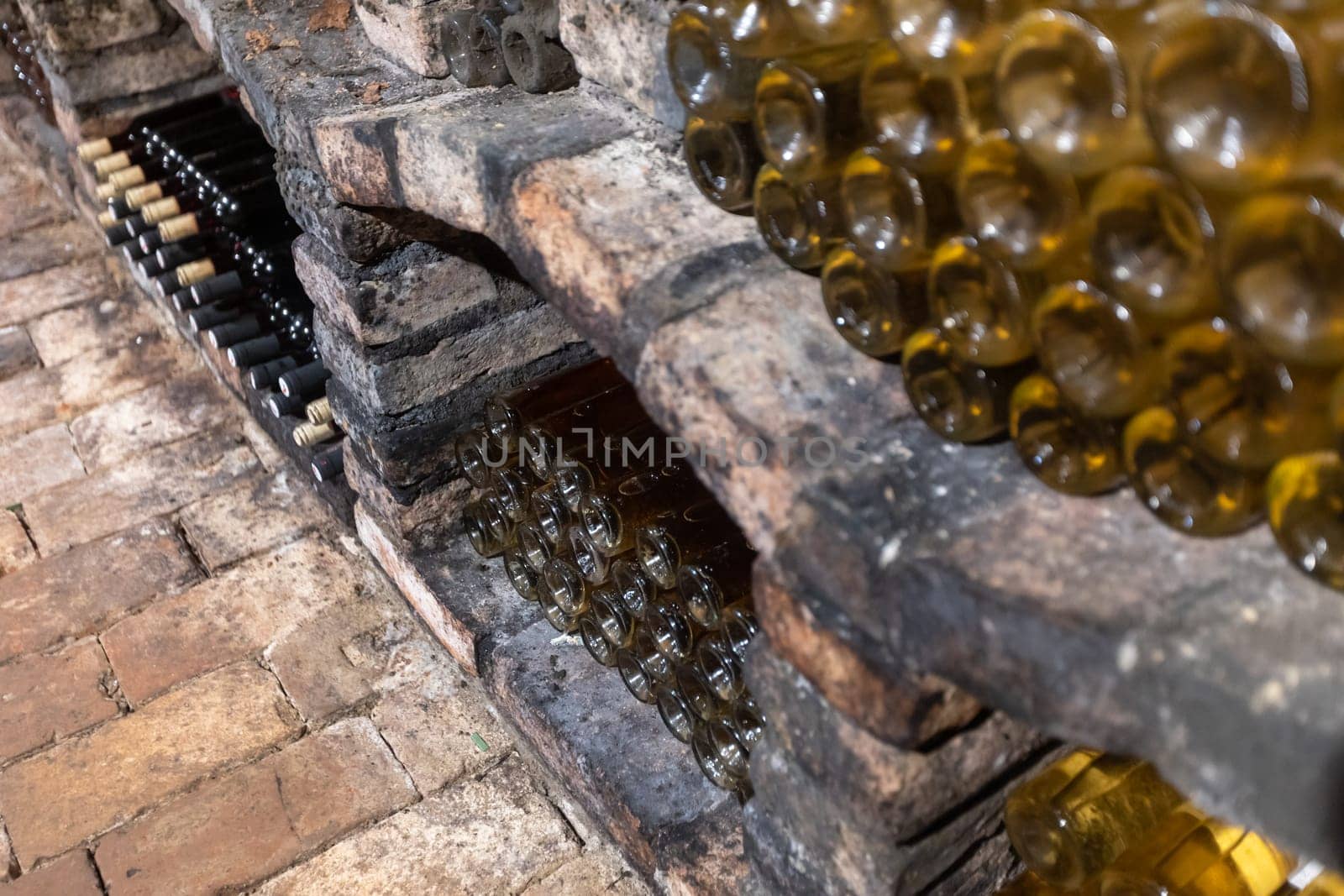 Close up of archive bottle of wines in the wine cellar