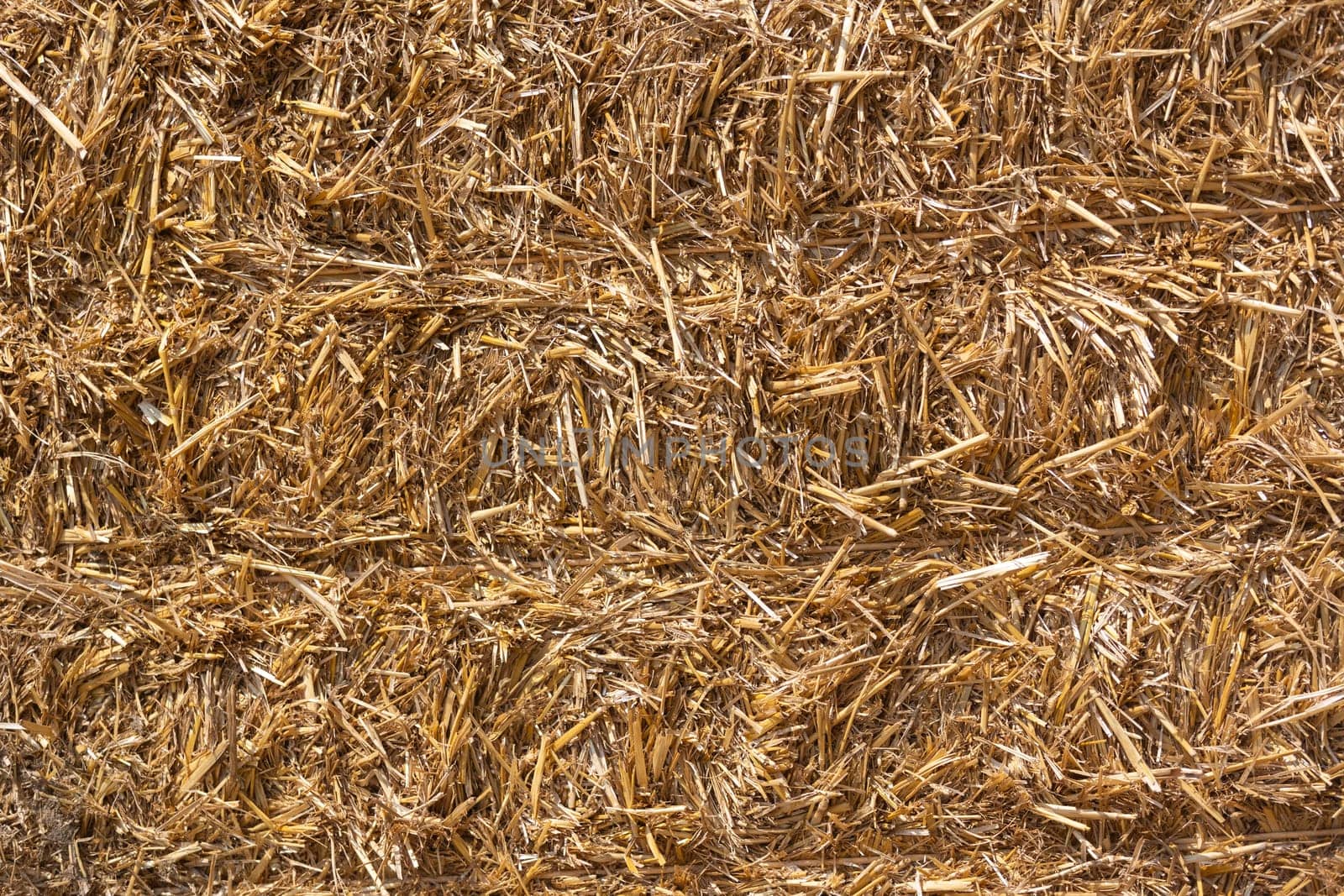 Hay in a bale, background or texture by Kadula