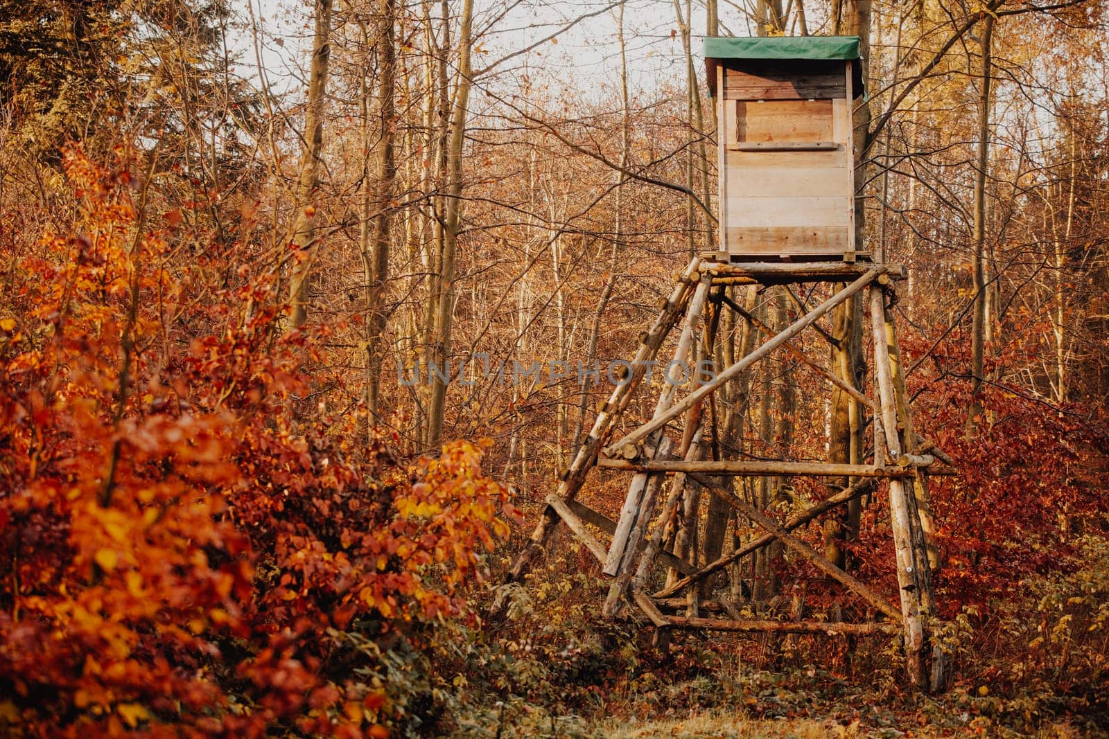 Hunt observatory in a forest, hunting period, autumn season, hunting and people concept