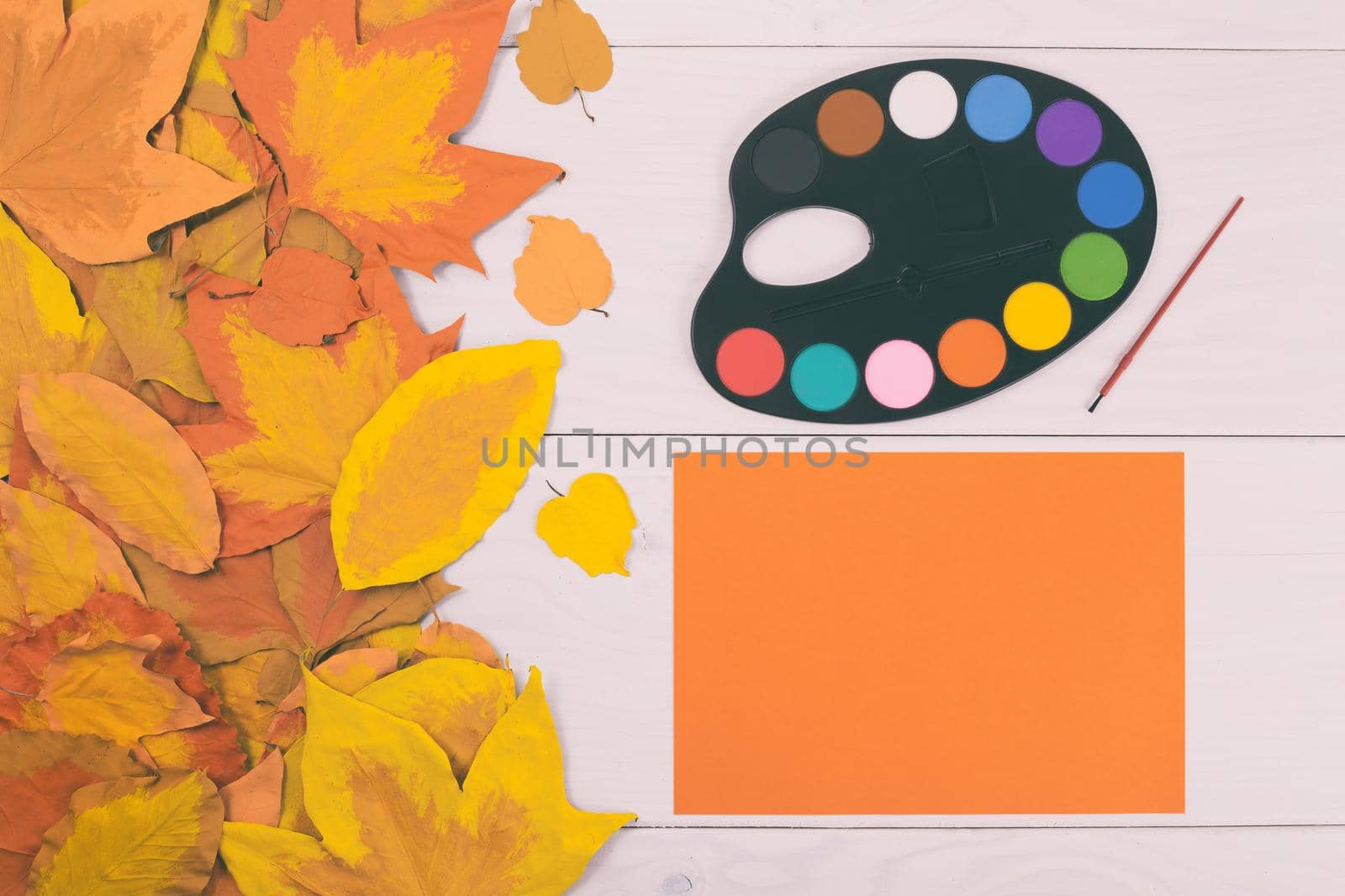 Image of watercolor paints on wooden table with painted leaf.Toned image.