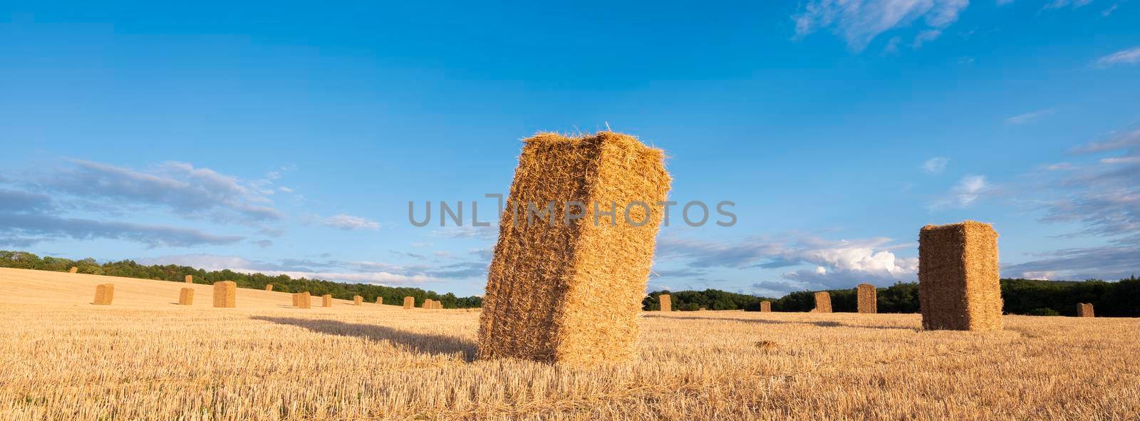 standing straw bales in field under blue sky by ahavelaar