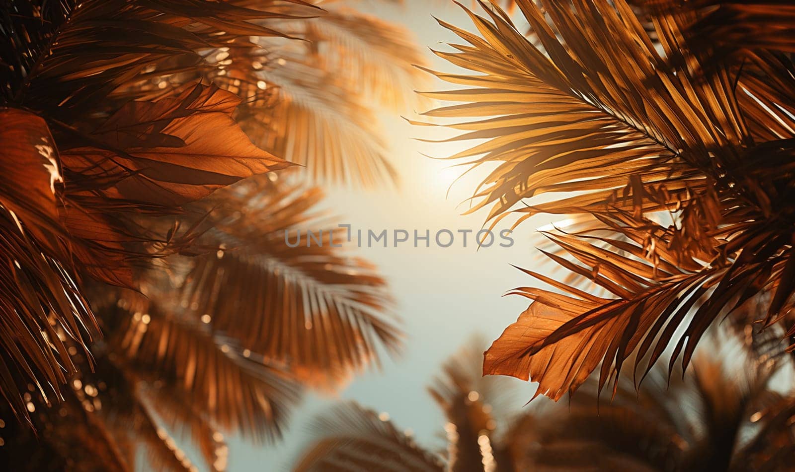 Palm leaves oin the sky with sepia tones.Palm tree with coconut, retro style photo. Summer travel destination. Fluffy palm leaf on sunset sky. Romantic honeymoon or holiday banner template. Coco palm crown view from ground. Tropical nature copy space by Annebel146