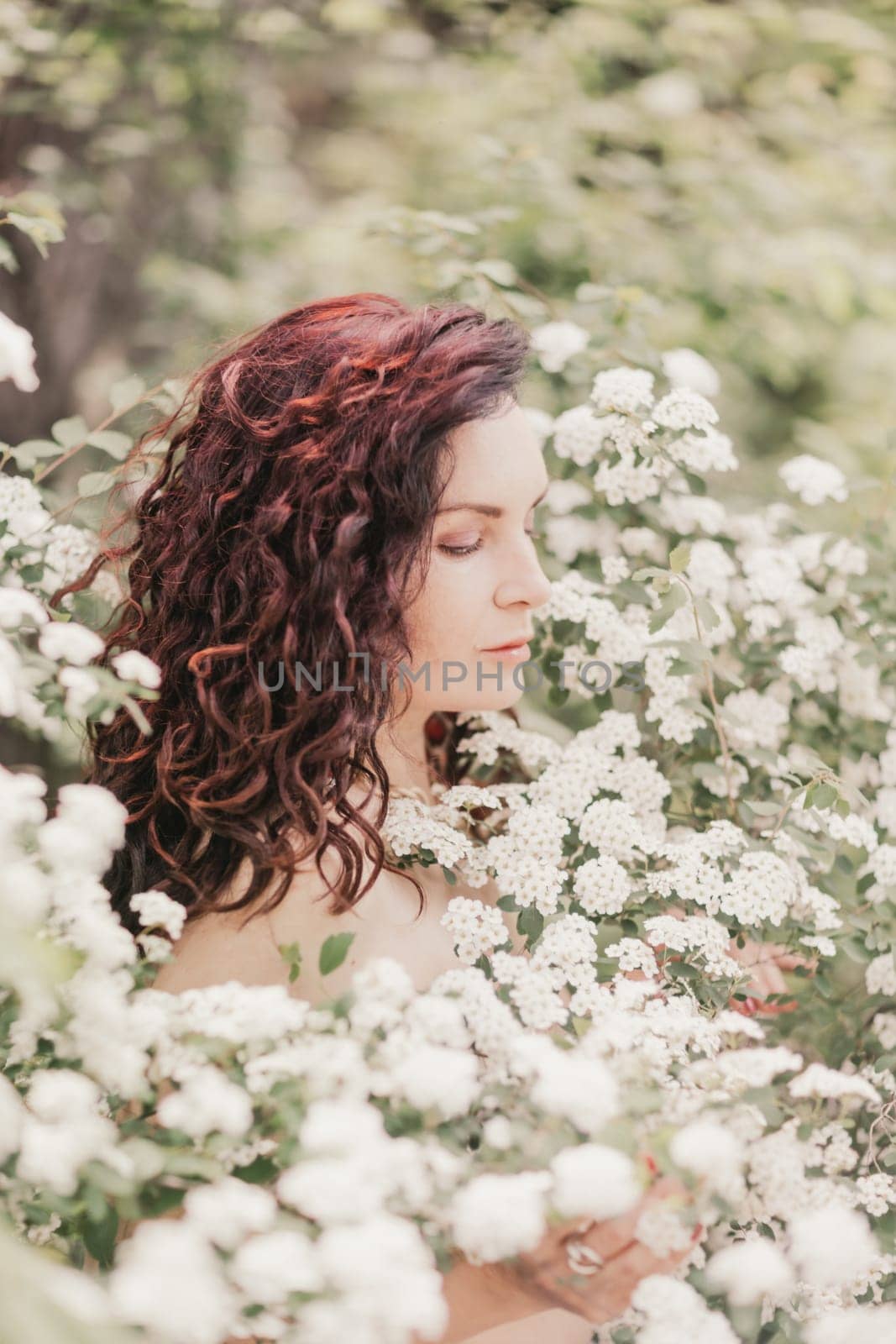 Woman spirea flowers. Portrait of a curly happy woman in a flowering bush with white spirea flowers