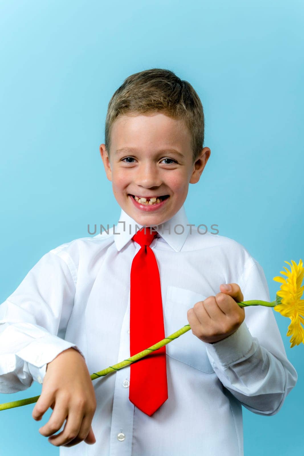 a happy first grader in a white shirt holds a flower in his hands and laughs. A cute Caucasian boy goes to school with a bouquet of flowers. Mothers' Day. Schoolboy. September 1, for the first time in the first class and on a blue background, vertical photo