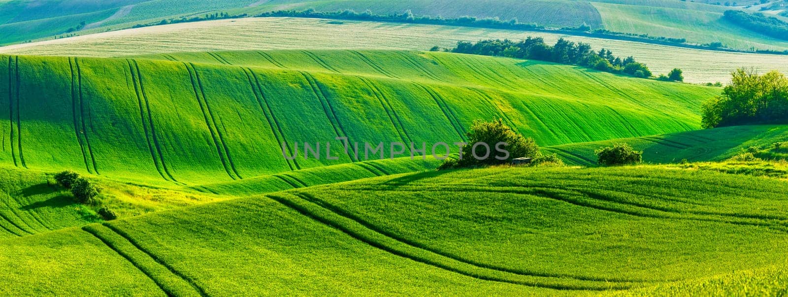 European rural wallpaper - panorama of Moravian rolling fields landscape, Moravia, Czech Republic